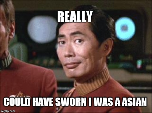 Sulu Oh My | REALLY COULD HAVE SWORN I WAS A ASIAN | image tagged in sulu oh my | made w/ Imgflip meme maker