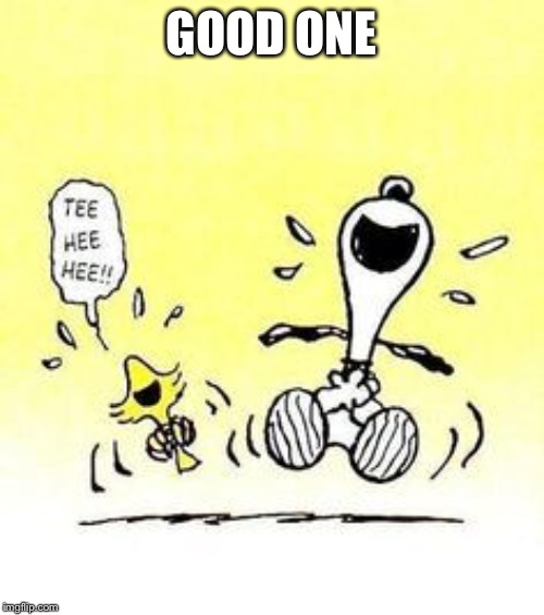 Snoopy and Woodstock laughing | GOOD ONE | image tagged in snoopy and woodstock laughing | made w/ Imgflip meme maker