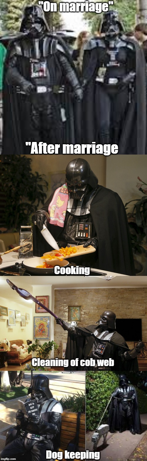 After marriage Darth Vader | "On marriage"; "After marriage; Cooking; Cleaning of cob web; Dog keeping | image tagged in darth vader | made w/ Imgflip meme maker