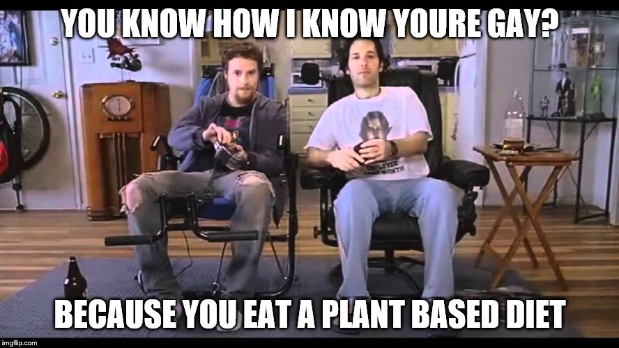 You know how I know you're gay | YOU KNOW HOW I KNOW YOURE GAY? BECAUSE YOU EAT A PLANT BASED DIET | image tagged in you know how i know you're gay | made w/ Imgflip meme maker