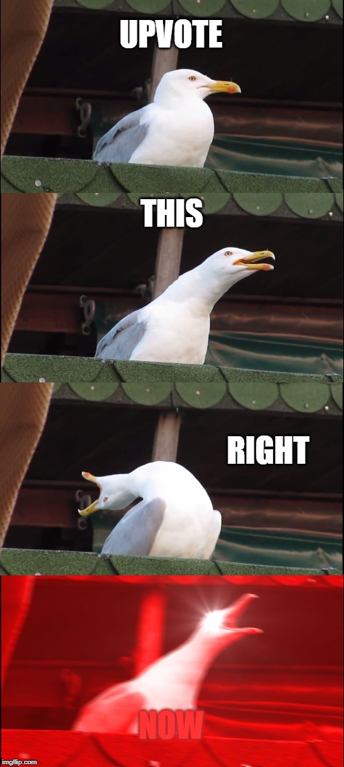 Inhaling Seagull | UPVOTE; THIS; RIGHT; NOW | image tagged in memes,inhaling seagull | made w/ Imgflip meme maker