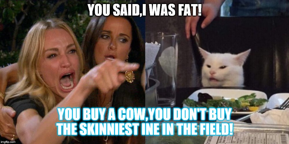Woman yelling at cat | YOU SAID,I WAS FAT! YOU BUY A COW,YOU DON'T BUY THE SKINNIEST INE IN THE FIELD! | image tagged in woman yelling at cat | made w/ Imgflip meme maker