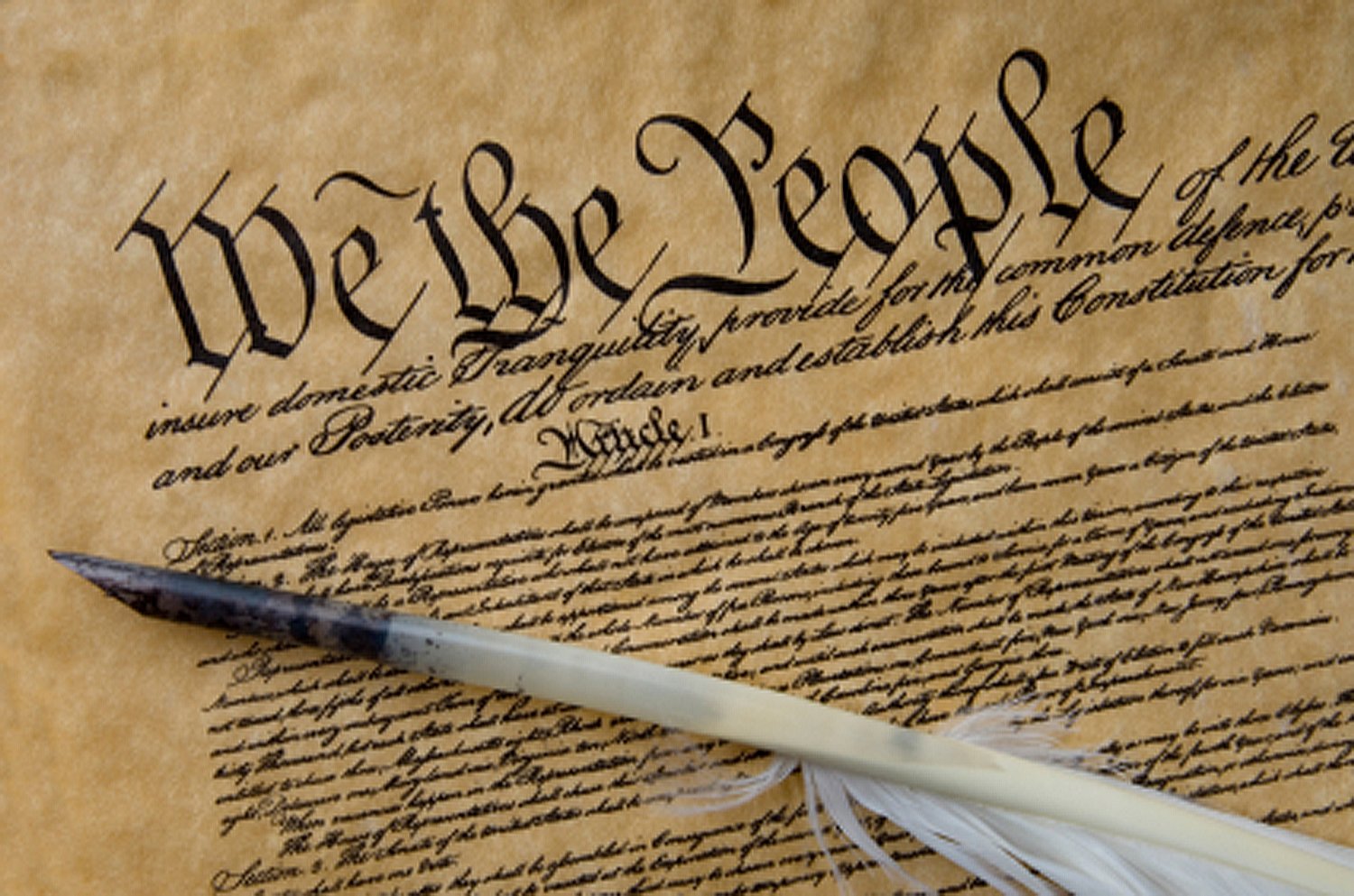 High Quality Constitution Blank Meme Template