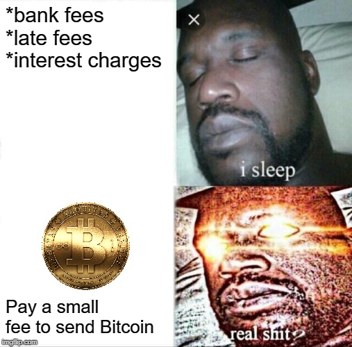 What really burns! | *bank fees
*late fees
*interest charges; Pay a small fee to send Bitcoin | image tagged in memes,sleeping shaq,bitcoin,fees,banking | made w/ Imgflip meme maker