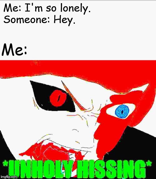 I wonder why. | Me: I'm so lonely.
Someone: Hey. Me: | image tagged in blaze the blaziken unholy hissing | made w/ Imgflip meme maker