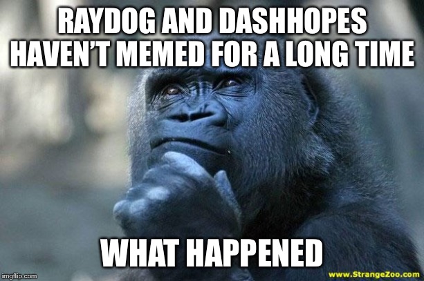 Deep Thoughts | RAYDOG AND DASHHOPES HAVEN’T MEMED FOR A LONG TIME; WHAT HAPPENED | image tagged in deep thoughts | made w/ Imgflip meme maker
