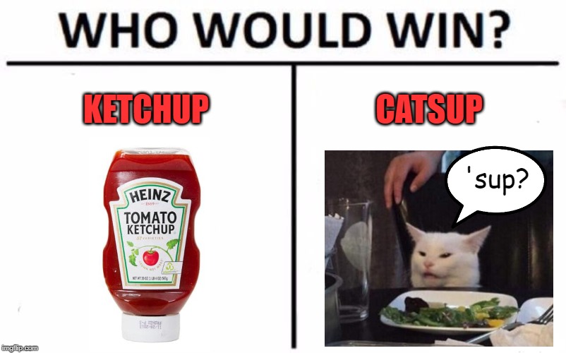 It's an even fight | KETCHUP; CATSUP; 'sup? | image tagged in memes,who would win,catsup,ketchup,woman yelling at cat | made w/ Imgflip meme maker