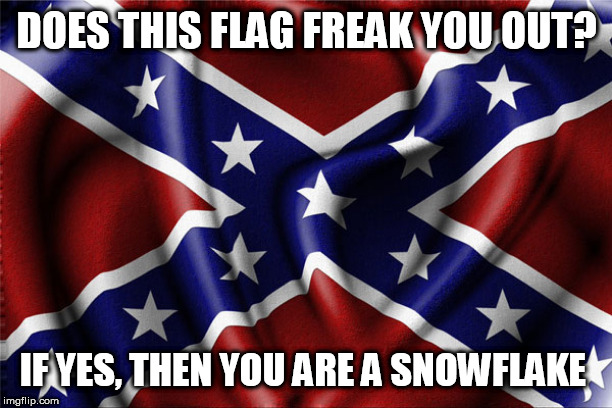 Rebel flag | DOES THIS FLAG FREAK YOU OUT? IF YES, THEN YOU ARE A SNOWFLAKE | image tagged in rebel flag | made w/ Imgflip meme maker