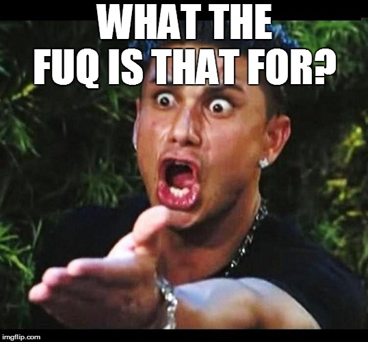 WHAT THE FUQ IS THAT FOR? | made w/ Imgflip meme maker