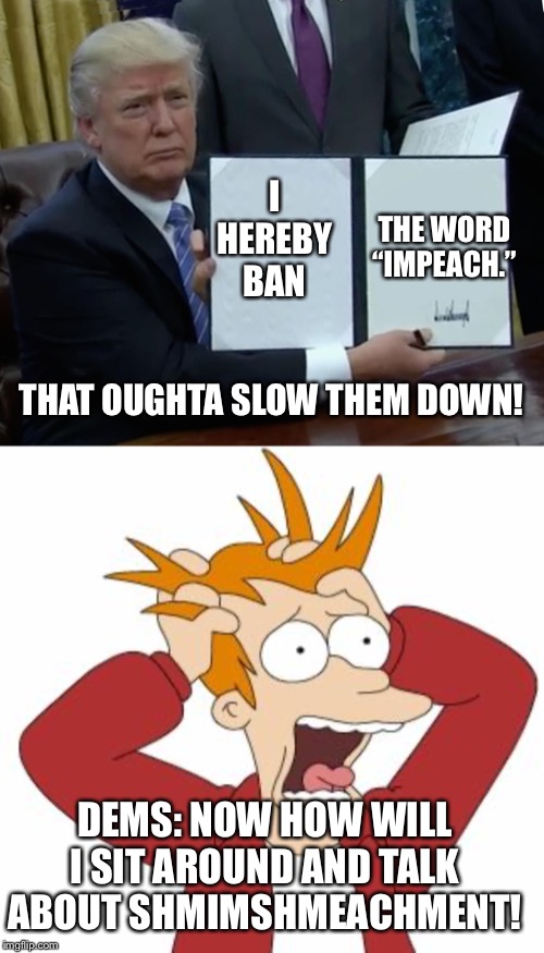 Shmimshmeachment inquiry | THE WORD “IMPEACH.”; I HEREBY BAN; THAT OUGHTA SLOW THEM DOWN! DEMS: NOW HOW WILL I SIT AROUND AND TALK ABOUT SHMIMSHMEACHMENT! | image tagged in fry freaking out,memes,trump bill signing,impeachment,impeach trump,funny memes | made w/ Imgflip meme maker