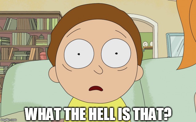Stunned Morty | WHAT THE HELL IS THAT? | image tagged in stunned morty,morty | made w/ Imgflip meme maker