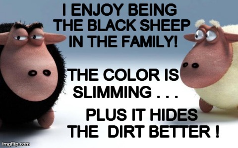 image tagged in funny,sheep | made w/ Imgflip meme maker