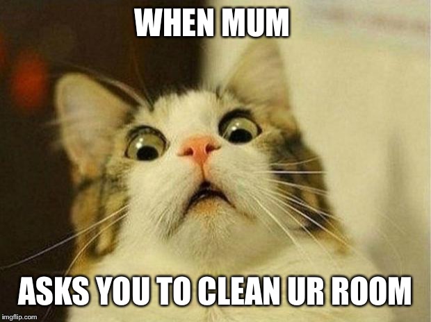 Scared Cat | WHEN MUM; ASKS YOU TO CLEAN UR ROOM | image tagged in memes,scared cat | made w/ Imgflip meme maker