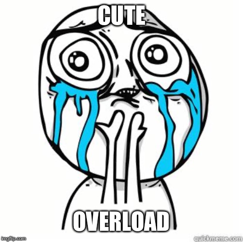 Crying Face | CUTE OVERLOAD | image tagged in crying face | made w/ Imgflip meme maker