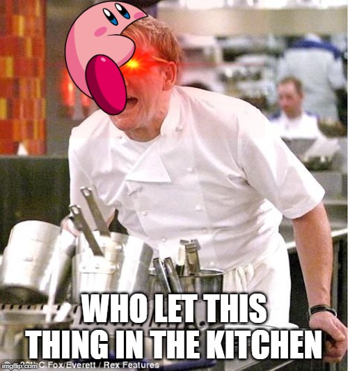 Chef Gordon Ramsay Meme | WHO LET THIS THING IN THE KITCHEN | image tagged in memes,chef gordon ramsay | made w/ Imgflip meme maker