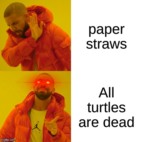 Drake Hotline Bling Meme | paper straws; All turtles are dead | image tagged in memes,drake hotline bling | made w/ Imgflip meme maker
