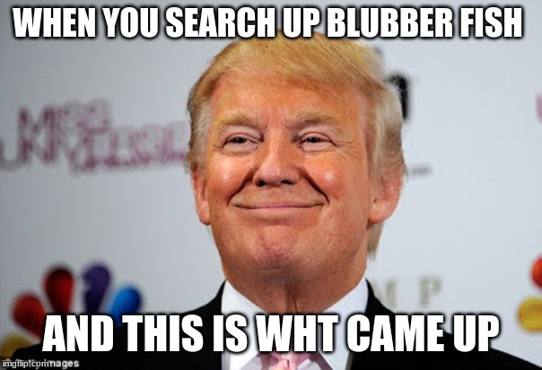 Donald trump approves | WHEN YOU SEARCH UP BLUBBER FISH; AND THIS IS WHT CAME UP | image tagged in donald trump approves | made w/ Imgflip meme maker