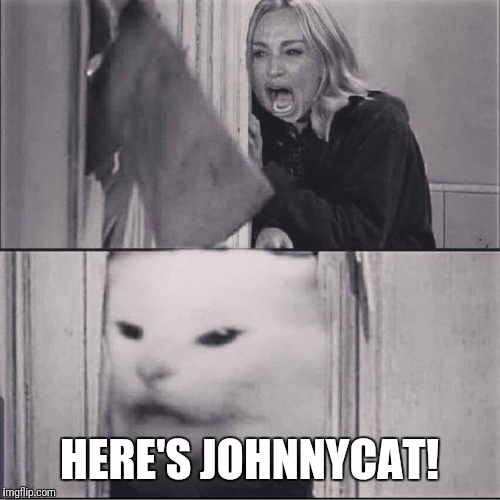 Redrum | HERE'S JOHNNYCAT! | image tagged in the shining,cat | made w/ Imgflip meme maker