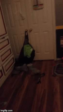 Nyan....Nope | image tagged in gifs,cats | made w/ Imgflip video-to-gif maker