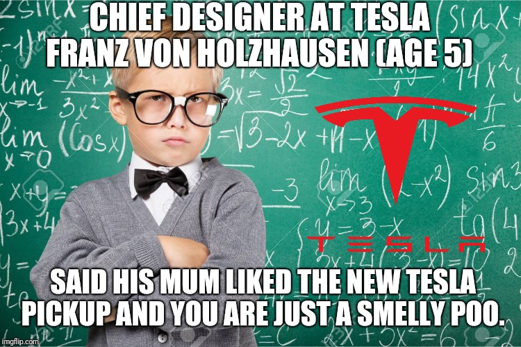 Tesla new Pickup Truck | CHIEF DESIGNER AT TESLA FRANZ VON HOLZHAUSEN (AGE 5); SAID HIS MUM LIKED THE NEW TESLA PICKUP AND YOU ARE JUST A SMELLY POO. | image tagged in tesla,cars,truck | made w/ Imgflip meme maker