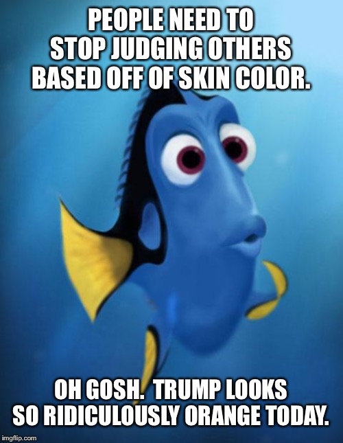 Dory | PEOPLE NEED TO STOP JUDGING OTHERS BASED OFF OF SKIN COLOR. OH GOSH.  TRUMP LOOKS SO RIDICULOUSLY ORANGE TODAY. | image tagged in dory | made w/ Imgflip meme maker