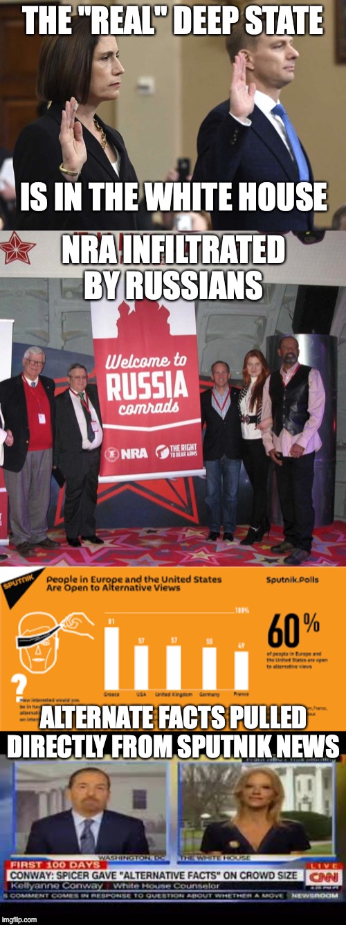 Hypocrisy at it's finest and a danger to our world | THE "REAL" DEEP STATE; IS IN THE WHITE HOUSE; NRA INFILTRATED BY RUSSIANS; ALTERNATE FACTS PULLED DIRECTLY FROM SPUTNIK NEWS | image tagged in welcome nra comrade's to russia,david holmes  fiona hill | made w/ Imgflip meme maker