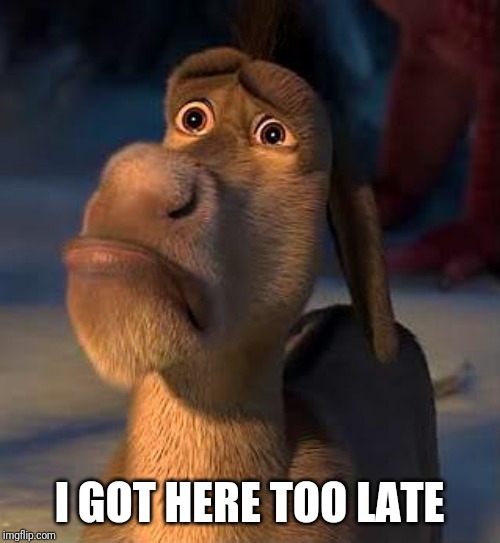 sad donkey | I GOT HERE TOO LATE | image tagged in sad donkey | made w/ Imgflip meme maker