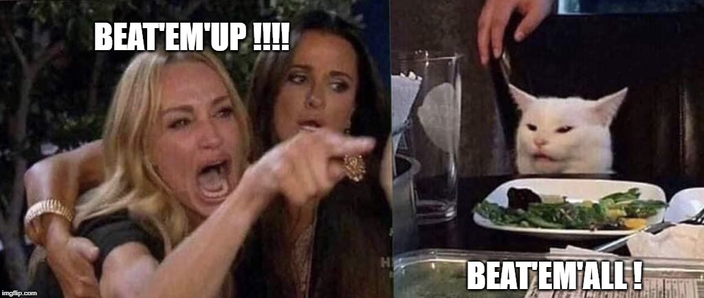 woman yelling at cat | BEAT'EM'UP !!!! BEAT'EM'ALL ! | image tagged in woman yelling at cat | made w/ Imgflip meme maker