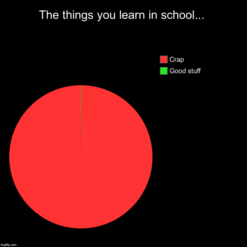 Stuff you learn in school | The things you learn in school... | Good stuff, Crap | image tagged in charts,pie charts,school,dumb | made w/ Imgflip chart maker