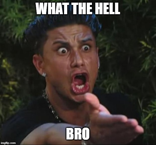 DJ Pauly D Meme | WHAT THE HELL; BRO | image tagged in memes,dj pauly d | made w/ Imgflip meme maker
