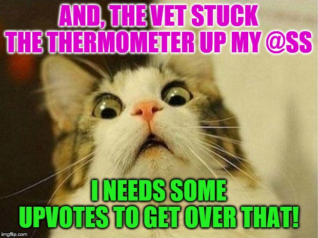 Scared Cat Meme | AND, THE VET STUCK THE THERMOMETER UP MY @SS; I NEEDS SOME UPVOTES TO GET OVER THAT! | image tagged in memes,scared cat | made w/ Imgflip meme maker
