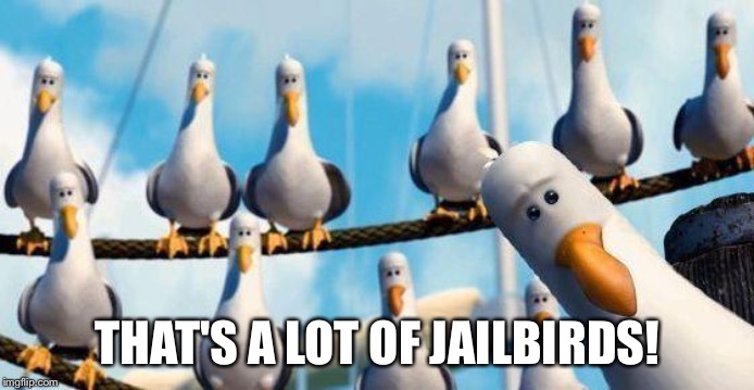 Nemo Birds | THAT'S A LOT OF JAILBIRDS! | image tagged in nemo birds | made w/ Imgflip meme maker