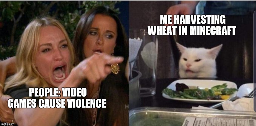 ME HARVESTING WHEAT IN MINECRAFT; PEOPLE: VIDEO GAMES CAUSE VIOLENCE | image tagged in funny memes | made w/ Imgflip meme maker