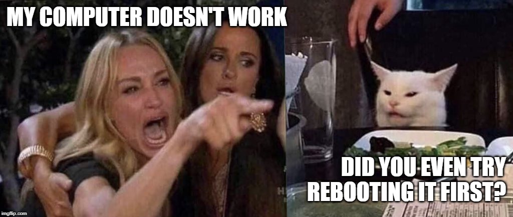 woman yelling at cat | MY COMPUTER DOESN'T WORK; DID YOU EVEN TRY
REBOOTING IT FIRST? | image tagged in woman yelling at cat | made w/ Imgflip meme maker