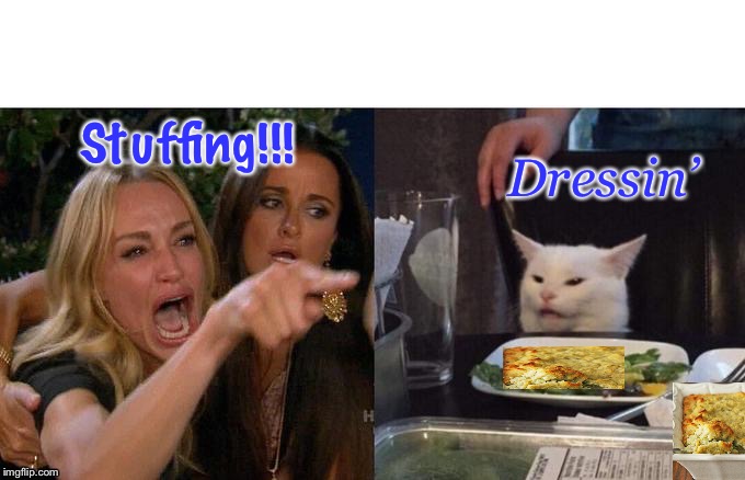 Woman Yelling At Cat | Stuffing!!! Dressin’ | image tagged in memes,woman yelling at cat | made w/ Imgflip meme maker