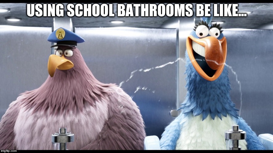 USING SCHOOL BATHROOMS BE LIKE... | image tagged in angry birds | made w/ Imgflip meme maker