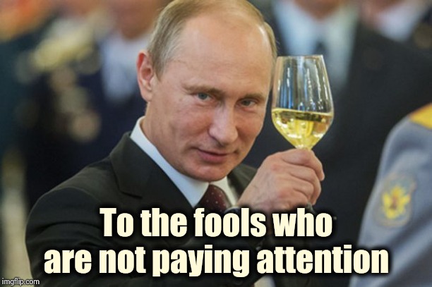 Putin Cheers | To the fools who are not paying attention | image tagged in putin cheers | made w/ Imgflip meme maker