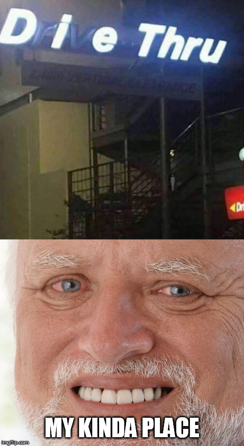 MY KINDA PLACE | image tagged in hide the pain harold,meme | made w/ Imgflip meme maker
