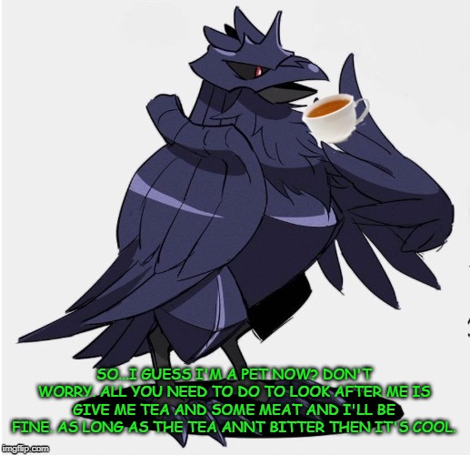 So...I'm a pet now then? Cool. *happy raven noises* | SO...I GUESS I'M A PET NOW? DON'T WORRY. ALL YOU NEED TO DO TO LOOK AFTER ME IS GIVE ME TEA AND SOME MEAT AND I'LL BE FINE. AS LONG AS THE TEA ANNT BITTER THEN IT'S COOL. | image tagged in the_tea_drinking_corviknight | made w/ Imgflip meme maker