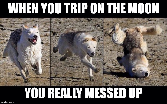Oh no | WHEN YOU TRIP ON THE MOON; YOU REALLY MESSED UP | image tagged in messed up | made w/ Imgflip meme maker