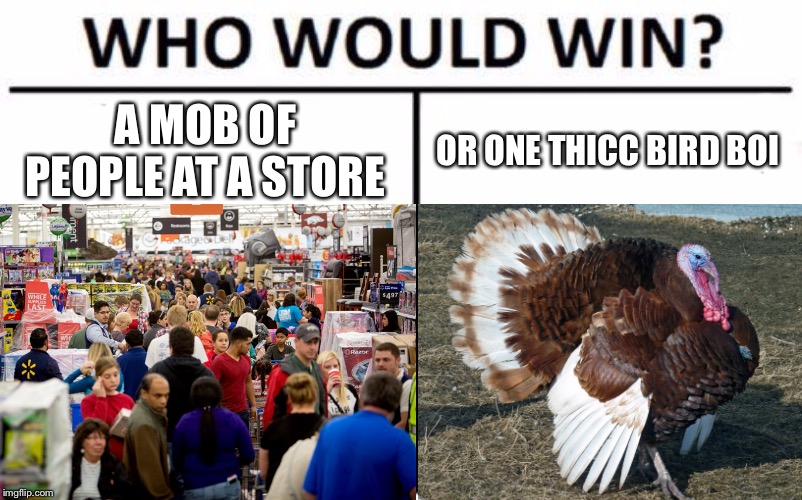 Why do people wait until 3 am in a diaper just to go to go shopping instead of be with family and consume food? | A MOB OF PEOPLE AT A STORE; OR ONE THICC BIRD BOI | image tagged in who would win,thanksgiving,black friday,turkeys | made w/ Imgflip meme maker