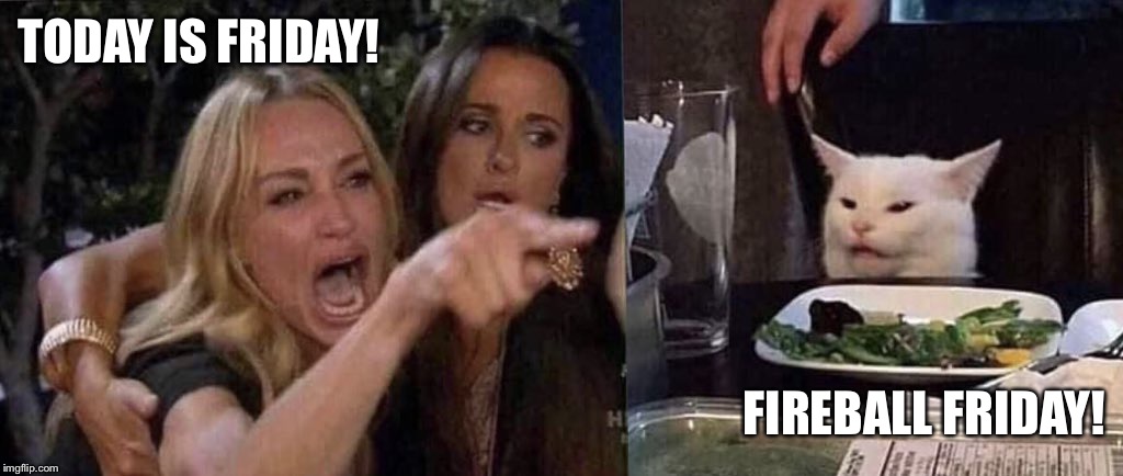 woman yelling at cat | TODAY IS FRIDAY! FIREBALL FRIDAY! | image tagged in woman yelling at cat | made w/ Imgflip meme maker
