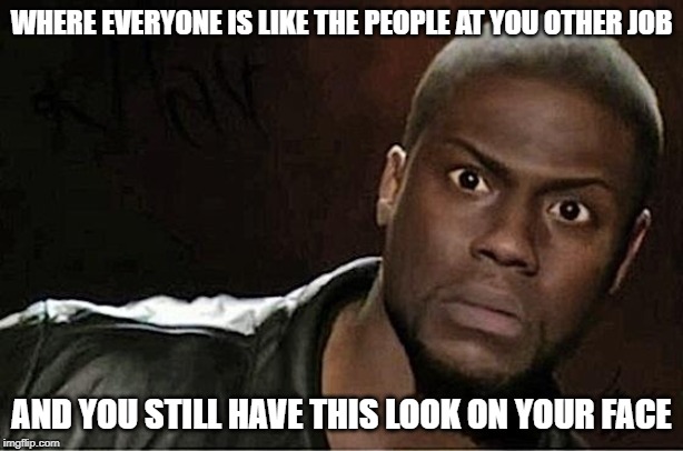Kevin Hart Meme | WHERE EVERYONE IS LIKE THE PEOPLE AT YOU OTHER JOB; AND YOU STILL HAVE THIS LOOK ON YOUR FACE | image tagged in memes,kevin hart | made w/ Imgflip meme maker