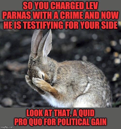 Bunny Hides | SO YOU CHARGED LEV PARNAS WITH A CRIME AND NOW HE IS TESTIFYING FOR YOUR SIDE LOOK AT THAT, A QUID PRO QUO FOR POLITICAL GAIN | image tagged in bunny hides | made w/ Imgflip meme maker