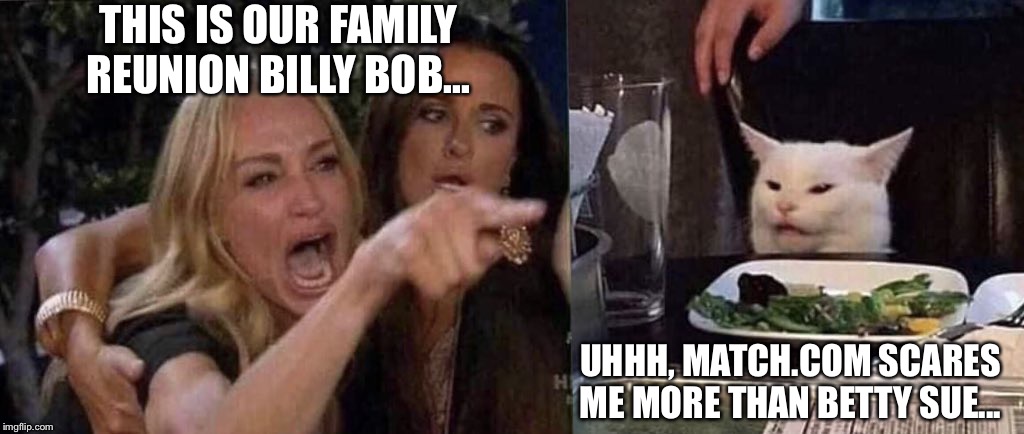 woman yelling at cat | THIS IS OUR FAMILY REUNION BILLY BOB... UHHH, MATCH.COM SCARES ME MORE THAN BETTY SUE... | image tagged in woman yelling at cat | made w/ Imgflip meme maker