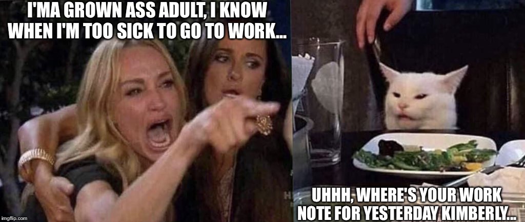woman yelling at cat | I'MA GROWN ASS ADULT, I KNOW WHEN I'M TOO SICK TO GO TO WORK... UHHH, WHERE'S YOUR WORK NOTE FOR YESTERDAY KIMBERLY... | image tagged in woman yelling at cat | made w/ Imgflip meme maker
