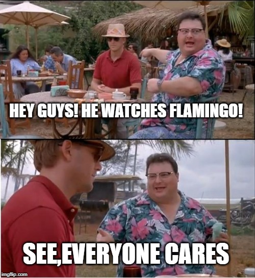 See Nobody Cares Meme | HEY GUYS! HE WATCHES FLAMINGO! SEE,EVERYONE CARES | image tagged in memes,see nobody cares | made w/ Imgflip meme maker