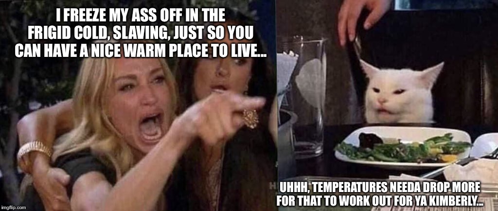 woman yelling at cat | I FREEZE MY ASS OFF IN THE FRIGID COLD, SLAVING, JUST SO YOU CAN HAVE A NICE WARM PLACE TO LIVE... UHHH, TEMPERATURES NEEDA DROP MORE FOR THAT TO WORK OUT FOR YA KIMBERLY... | image tagged in woman yelling at cat | made w/ Imgflip meme maker