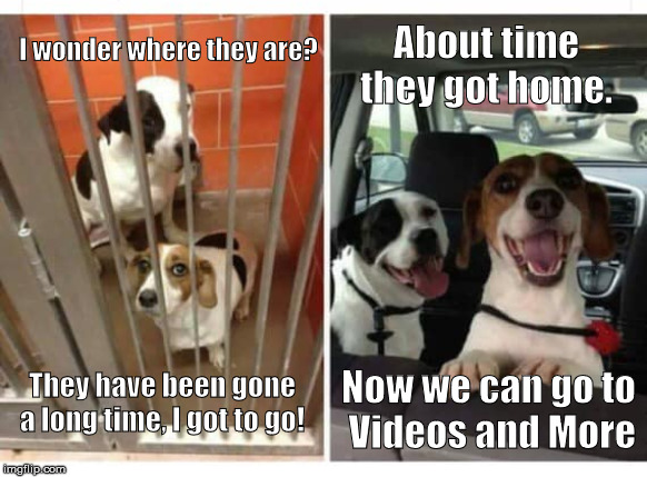 Sad dogs happy dogs | About time they got home. I wonder where they are? They have been gone a long time, I got to go! Now we can go to
 Videos and More | image tagged in sad dogs happy dogs | made w/ Imgflip meme maker