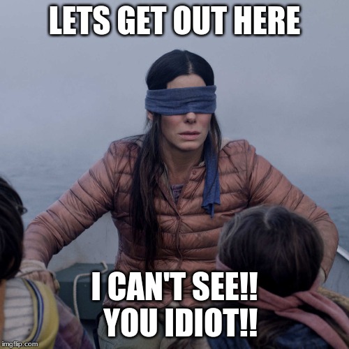 Bird Box Meme | LETS GET OUT HERE; I CAN'T SEE!!   YOU IDIOT!! | image tagged in memes,bird box | made w/ Imgflip meme maker